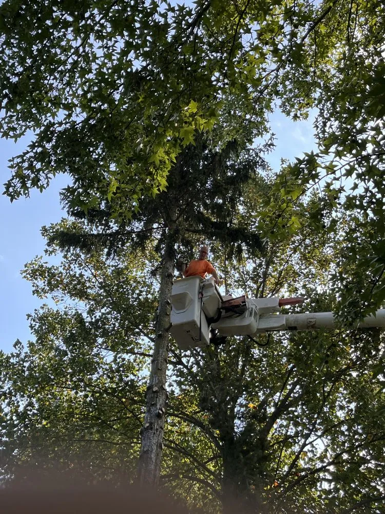 Affordable landscaping services in Edwardsburg, MI by Nate’s Tree Service