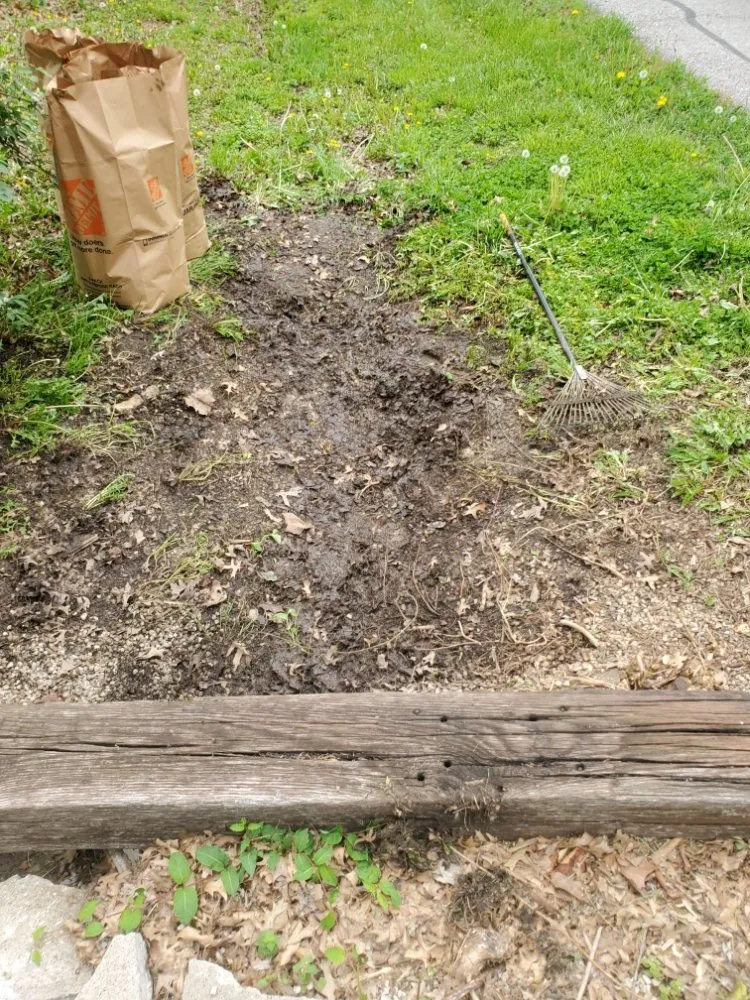 Top-rated yard maintenance experts serving Independence, MO - Nathan & Ashlie's Monkey Services