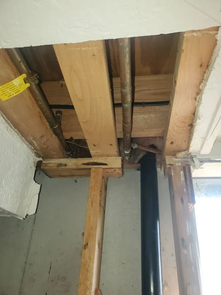 Expert yard maintenance near you across Independence, MO - Nathan & Ashlie's Monkey Services