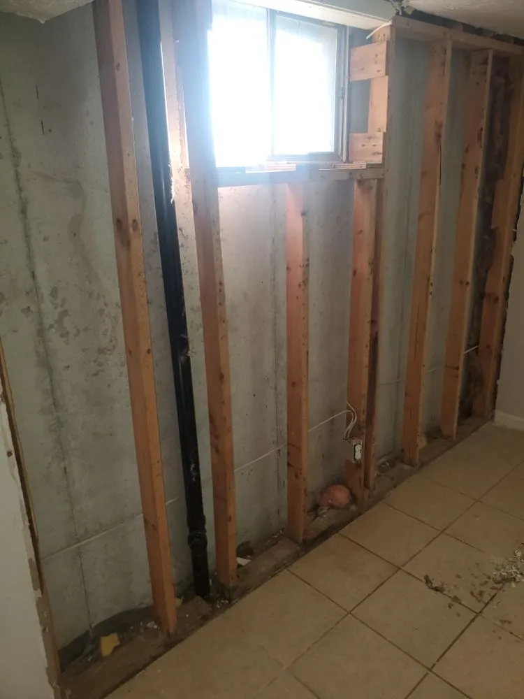 Expert residential landscaping experts serving Independence, MO - Nathan & Ashlie's Monkey Services