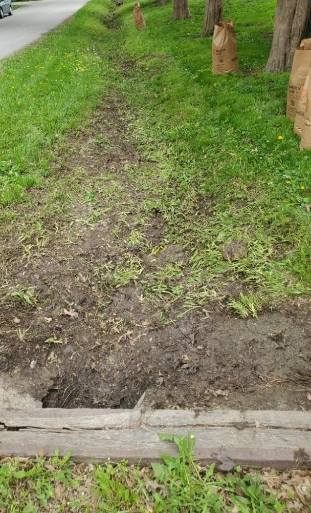 Professional outdoor landscaping in Independence, MO by Nathan & Ashlie's Monkey Services