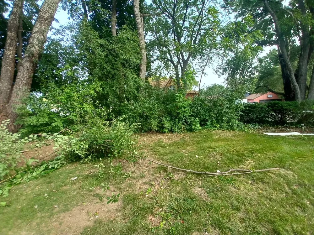 Affordable landscape design for homes in Milwaukee, WI by Nathan Landscape