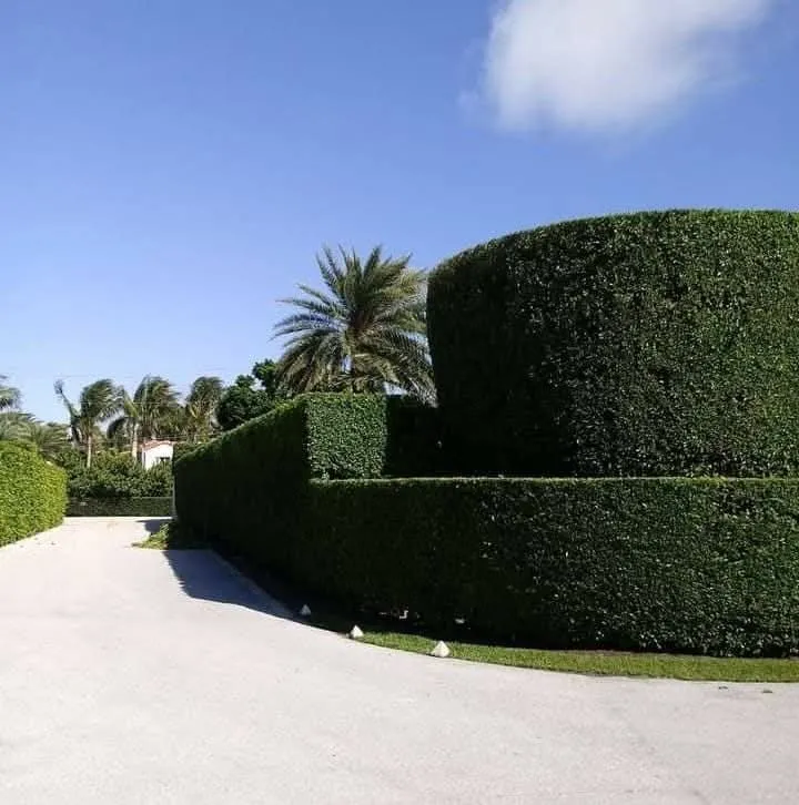 Reliable outdoor landscaping in West Palm Beach, FL by Nathan Landscaping Pro Service