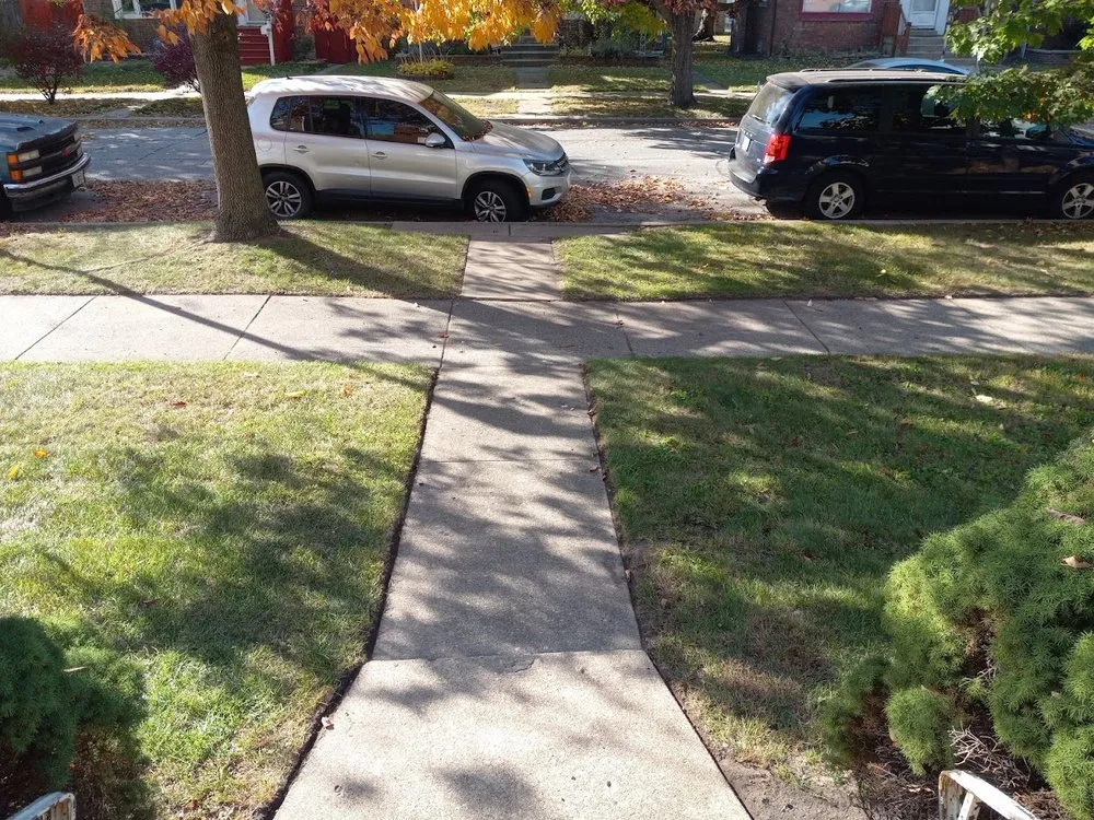 Expert yard cleanup service experts serving Hammond, IN - Nathan Thomas Lawn and Snow Care