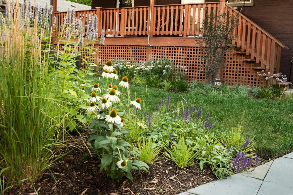 Reliable yard maintenance for residential properties across Chicago, IL - Nathan Wright Landscape Design