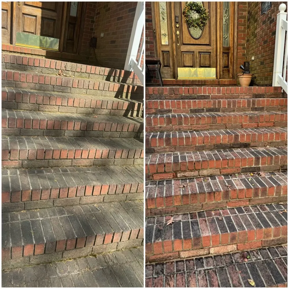 Professional yard cleanup service in Albemarle, NC by Nathan’s Exterior Services