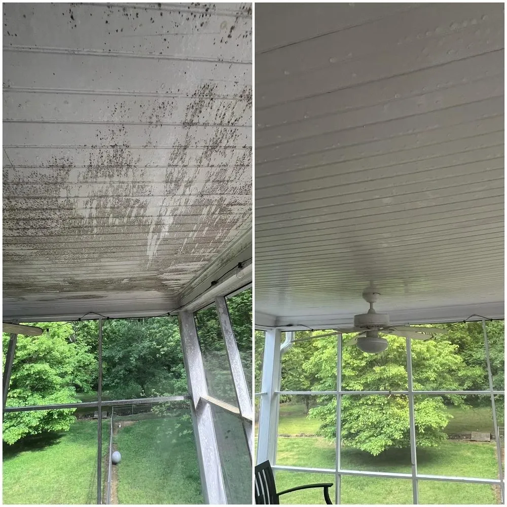 Local landscaping services in Albemarle, NC by Nathan’s Exterior Services