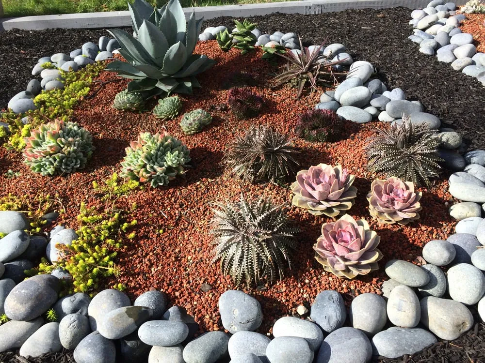 Top-rated landscape installation in San Rafael, CA - Nathan's Garden Solution