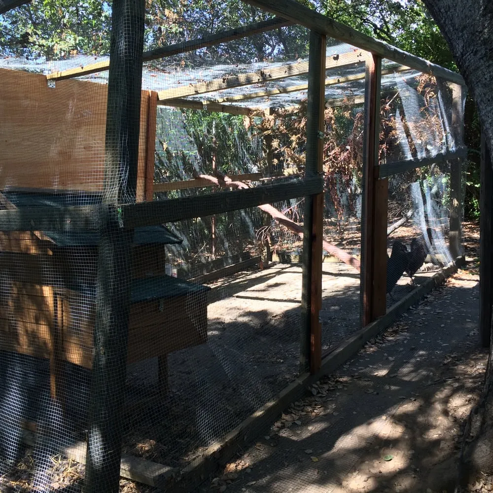 Expert landscape design experts serving San Rafael, CA - Nathan's Garden Solution