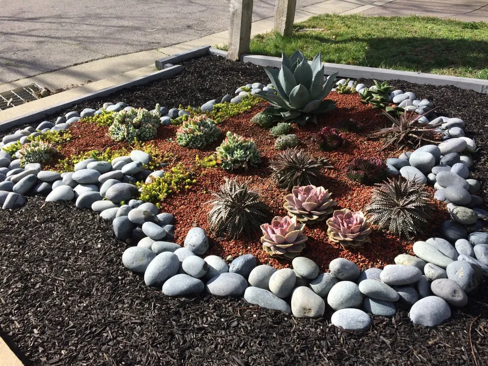 Professional yard maintenance in San Rafael, CA - Nathan's Garden Solution