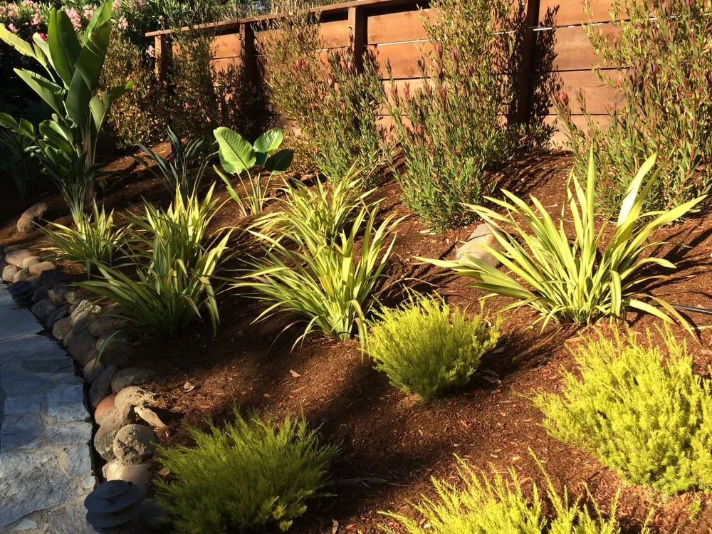 Local landscape installation for homes across San Rafael, CA - Nathan's Garden Solution