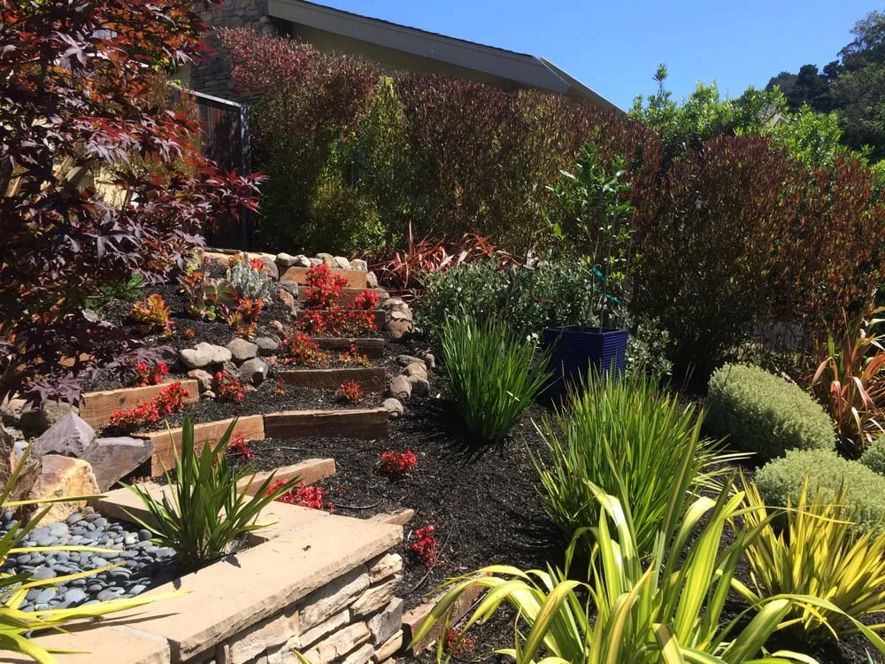 Expert lawn care service experts serving San Rafael, CA - Nathan's Garden Solution