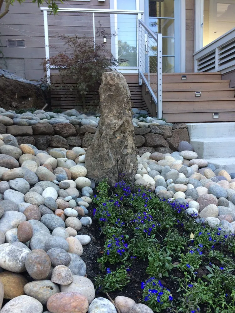 Local landscape installation for year-round maintenance in San Rafael, CA by Nathan's Garden Solution