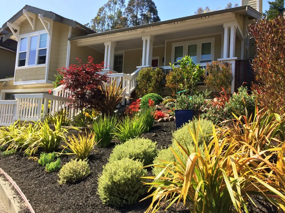 Custom yard maintenance in San Rafael, CA by Nathan's Garden Solution