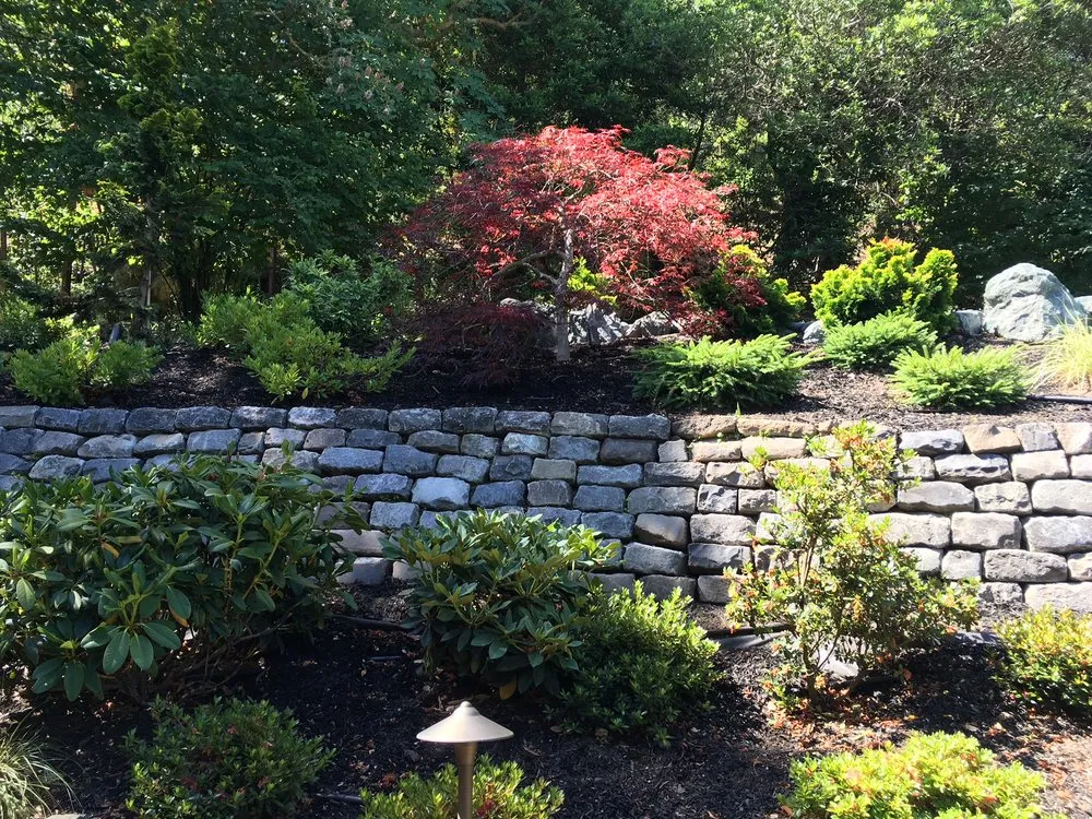 Expert landscaping services experts serving San Rafael, CA - Nathan's Garden Solution