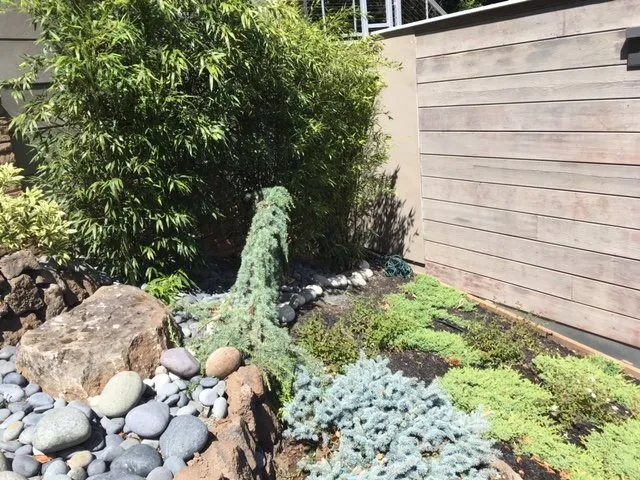 Trusted yard maintenance in San Rafael, CA by Nathan's Garden Solution