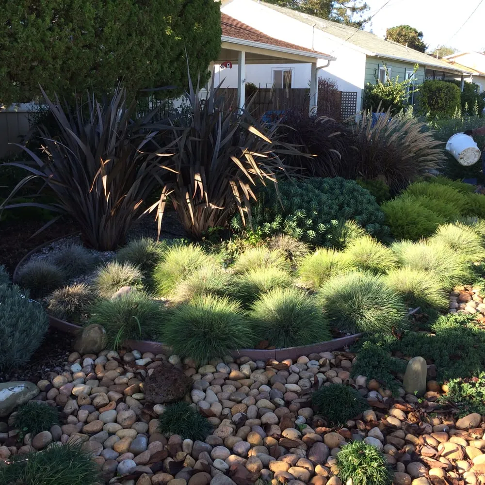 Trusted lawn care service in San Rafael, CA by Nathan's Garden Solution