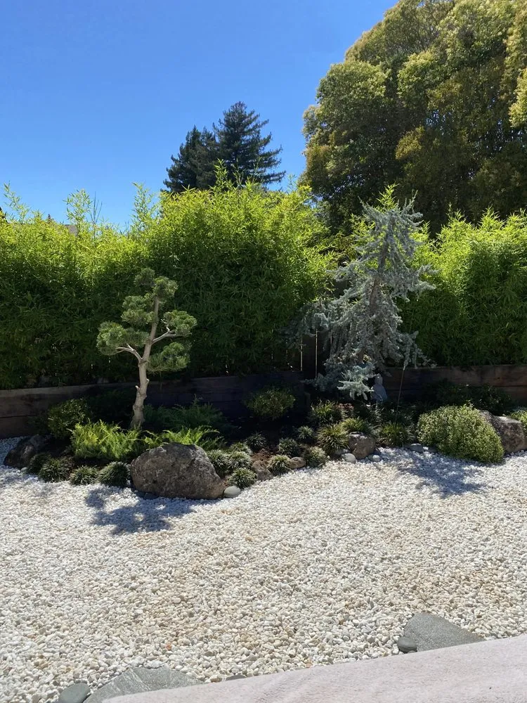 Top-rated lawn care service for residential properties in San Rafael, CA by Nathan's Garden Solution