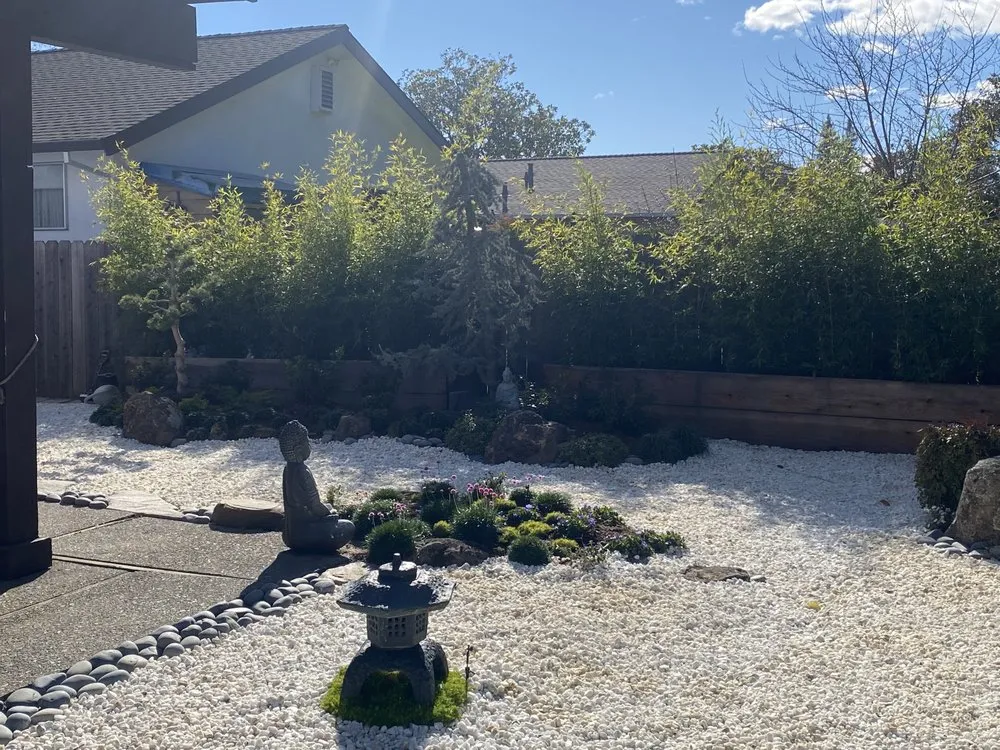 Local yard cleanup service experts serving San Rafael, CA - Nathan's Garden Solution