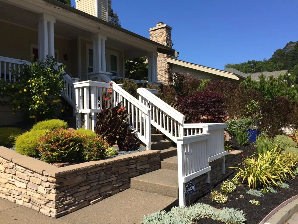 Trusted yard maintenance in San Rafael, CA by Nathan's Garden Solution