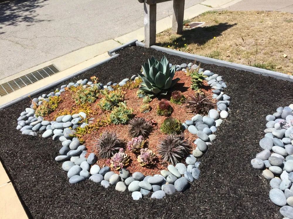 Trusted residential landscaping in San Rafael, CA - Nathan's Garden Solution