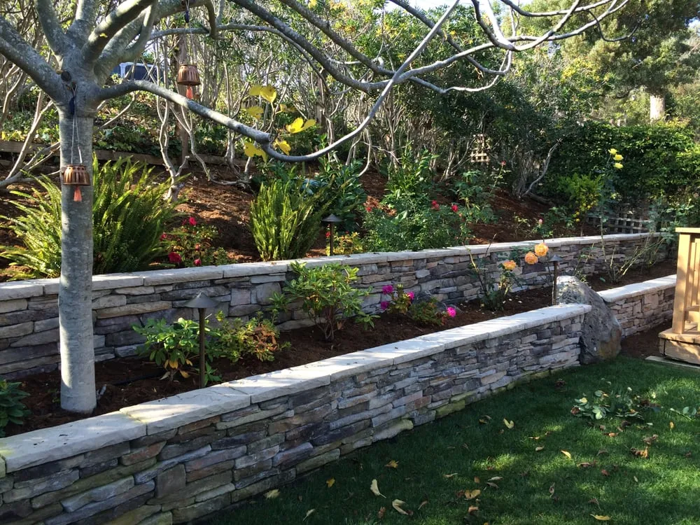 Professional landscape design in San Rafael, CA by Nathan's Garden Solution