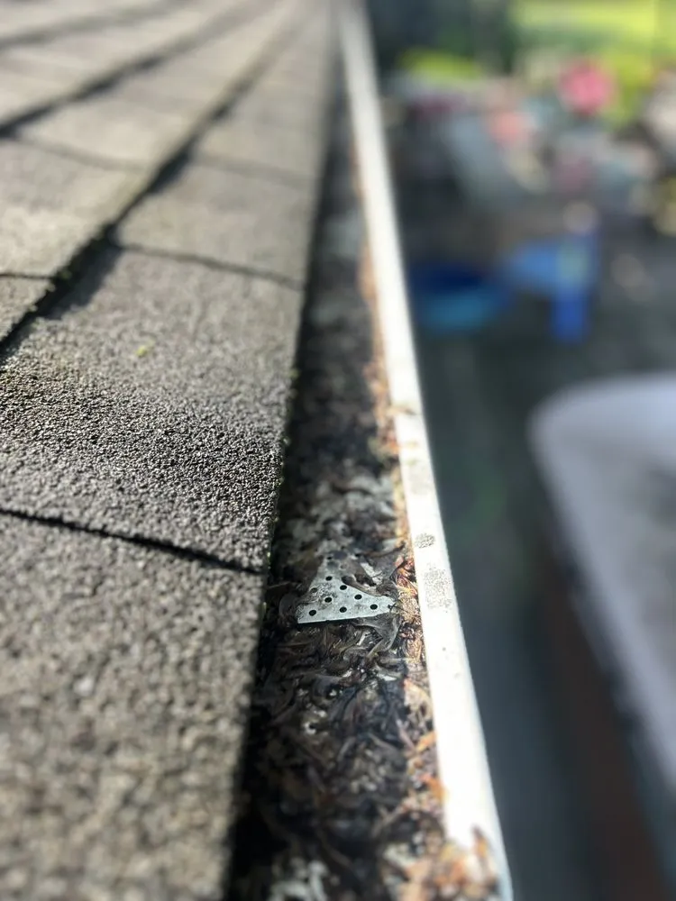 Top-rated landscape installation experts serving West Springfield, MA - Nathan’s Home Care