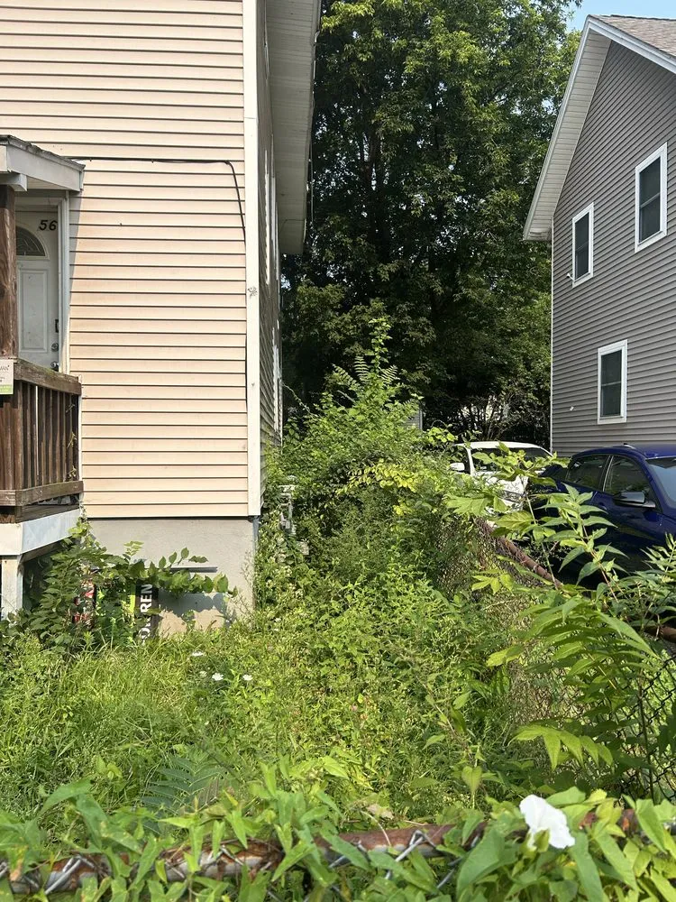 Local lawn mowing service in West Springfield, MA - Nathan’s Home Care