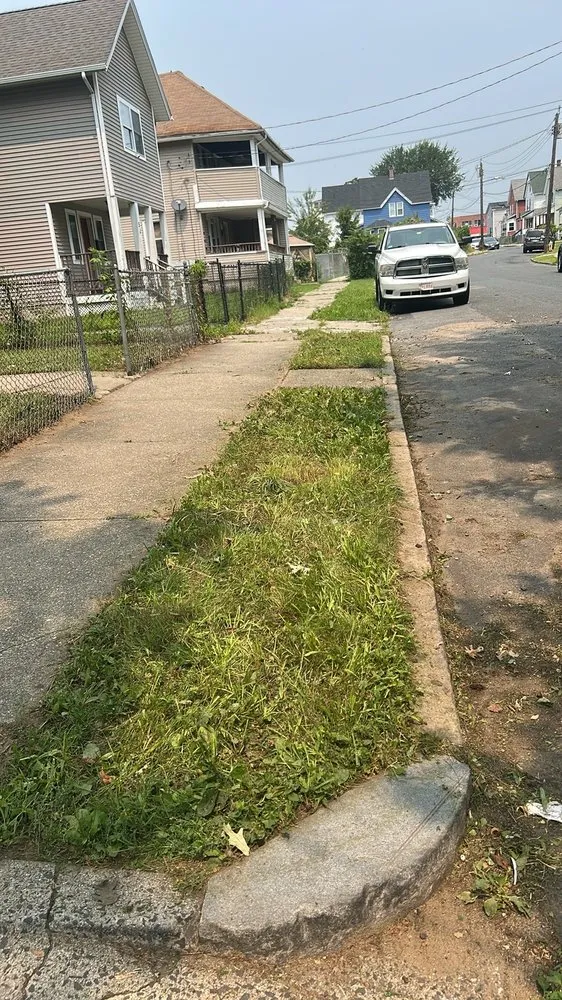 Top-rated landscaping services in West Springfield, MA by Nathan’s Home Care