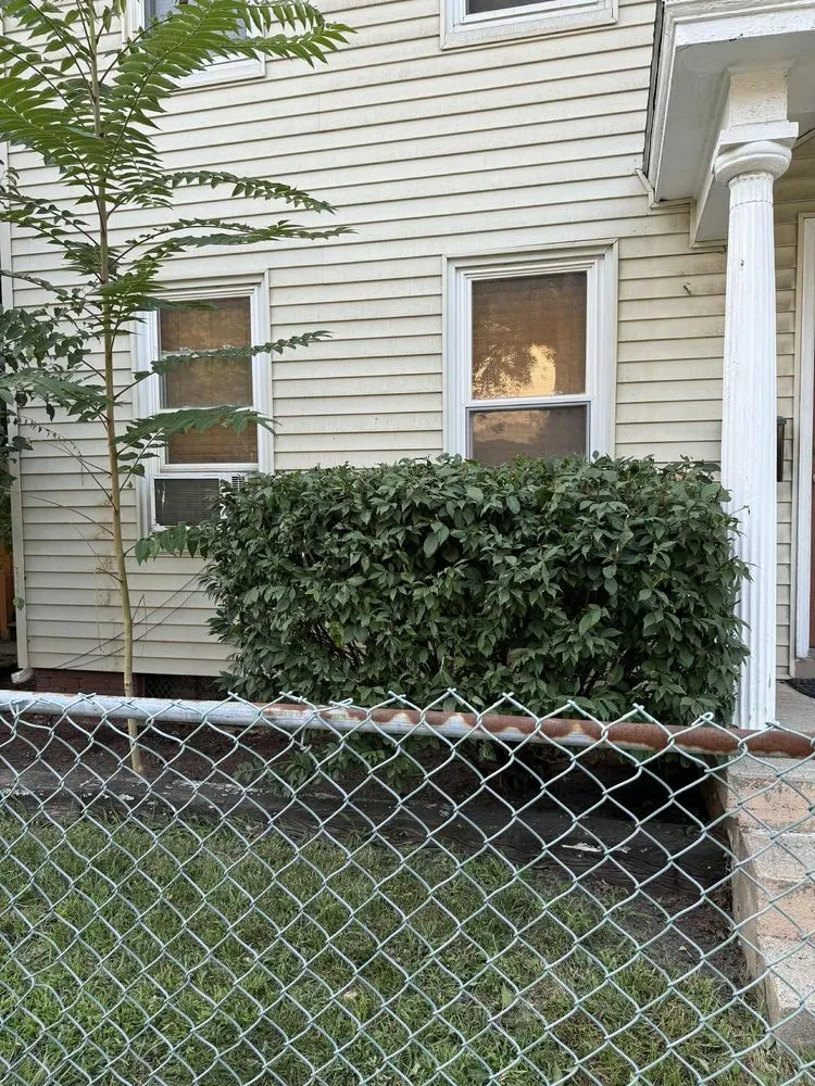 Local lawn mowing service for residential properties across West Springfield, MA - Nathan’s Home Care