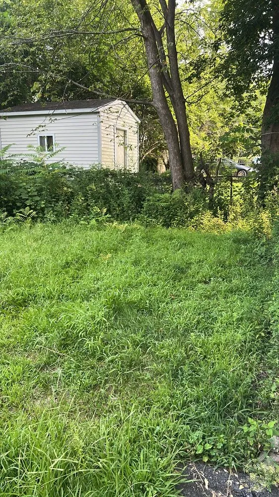 Affordable yard cleanup service for beautiful yards in West Springfield, MA by Nathan’s Home Care