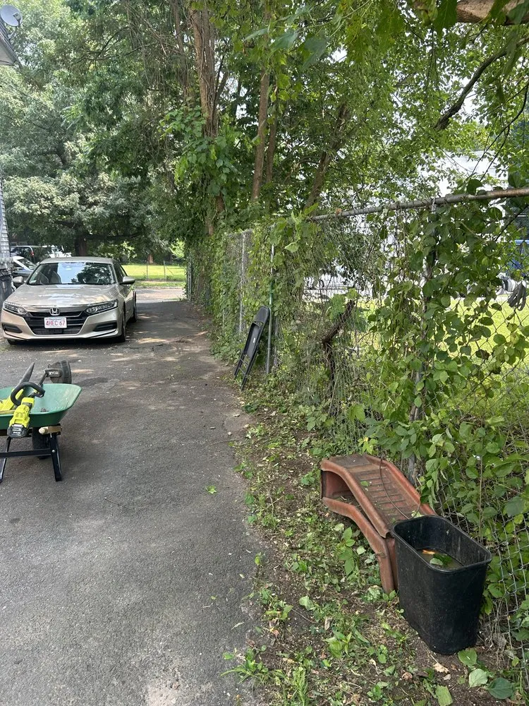 Professional lawn care service experts serving West Springfield, MA - Nathan’s Home Care