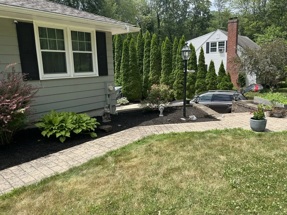 Expert yard cleanup service experts serving West Springfield, MA - Nathan’s Home Care