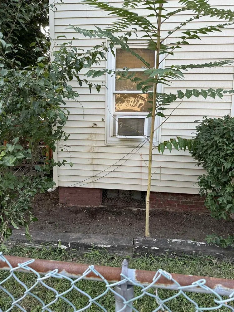 Custom lawn mowing service for year-round maintenance across West Springfield, MA - Nathan’s Home Care