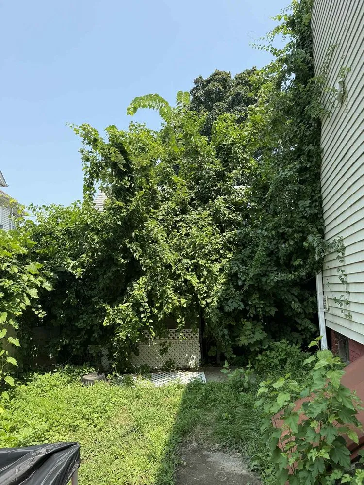 Professional landscaping services in West Springfield, MA - Nathan’s Home Care