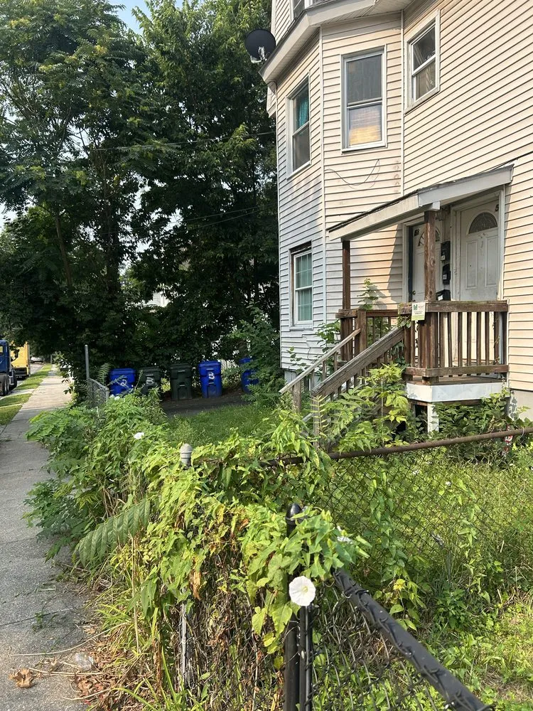 Custom lawn care service experts serving West Springfield, MA - Nathan’s Home Care