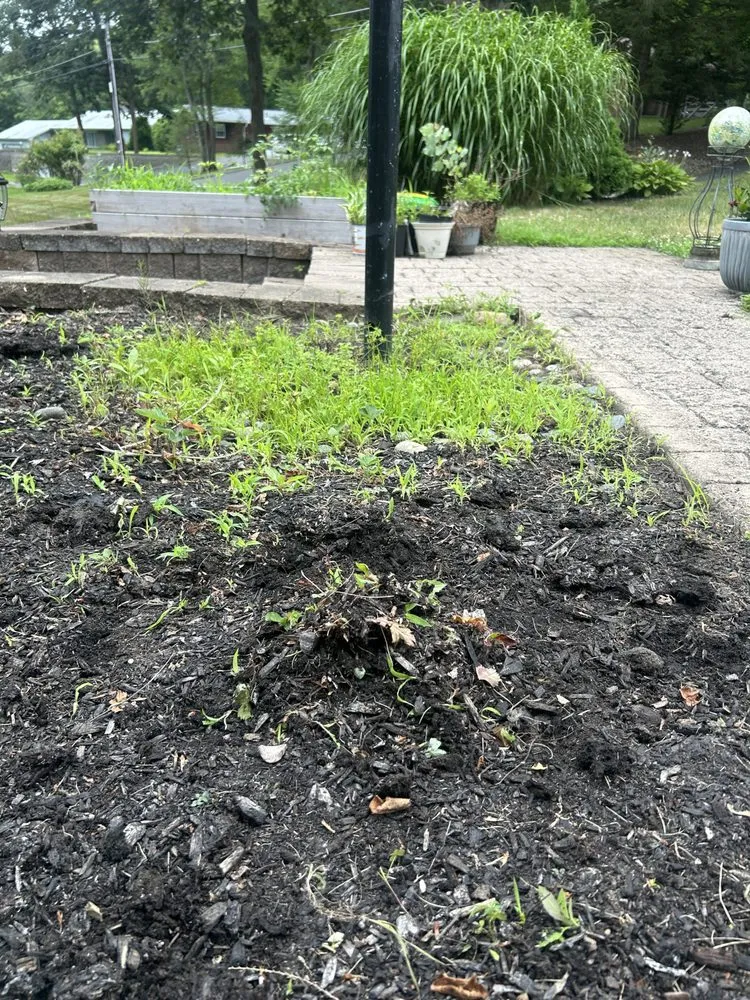 Trusted outdoor landscaping in West Springfield, MA by Nathan’s Home Care