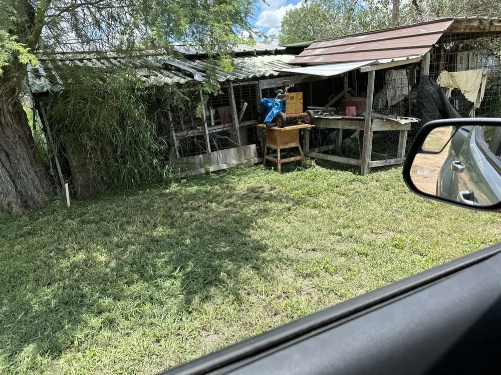 Affordable lawn care service in McAllen, TX by Nathan’s Landscaping