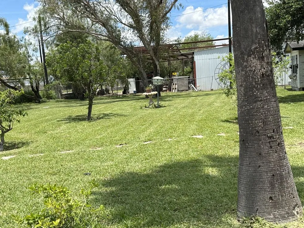 Professional residential landscaping for homes across McAllen, TX - Nathan’s Landscaping