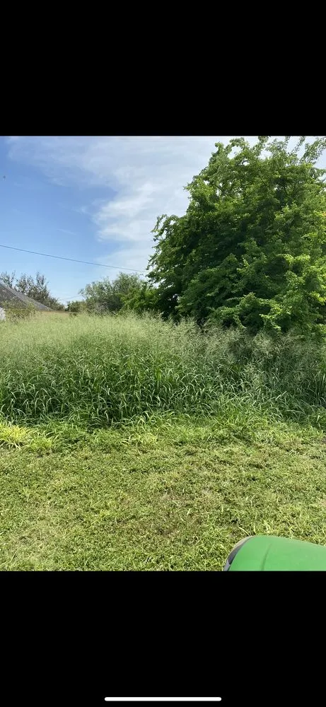 Professional outdoor landscaping for homes in McAllen, TX by Nathan’s Landscaping