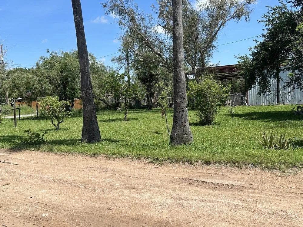 Custom lawn care service for residential properties in McAllen, TX by Nathan’s Landscaping