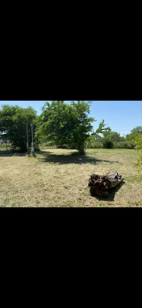 Custom landscaping services in McAllen, TX by Nathan’s Landscaping