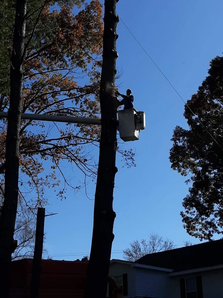 Reliable outdoor landscaping in Lenoir, NC - Nathan's Lawn Care & Stump Grinding