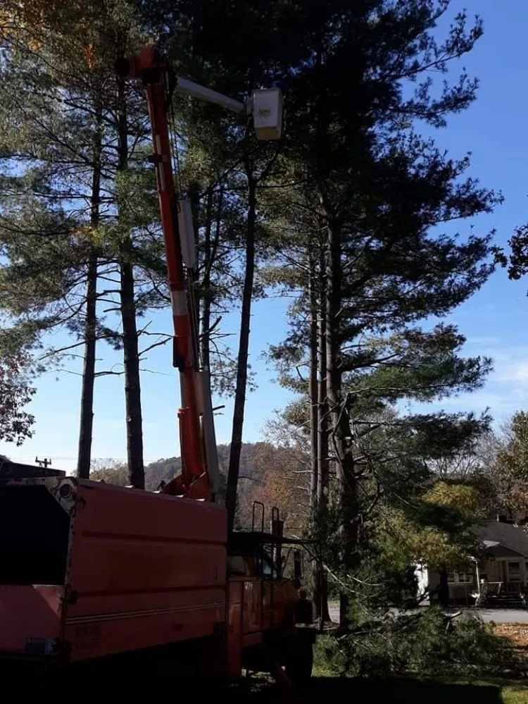 Trusted landscape design experts serving Lenoir, NC - Nathan's Lawn Care & Stump Grinding