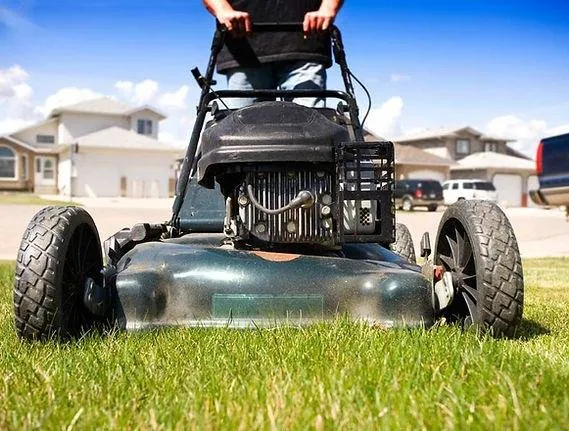 Professional yard cleanup service near you in Argyle, TX by Nathan's Lawn Care