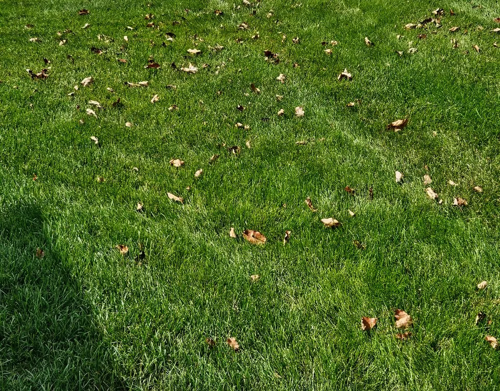 Expert garden landscaping in Cottage Grove, MN by Nathan's Lawn Care