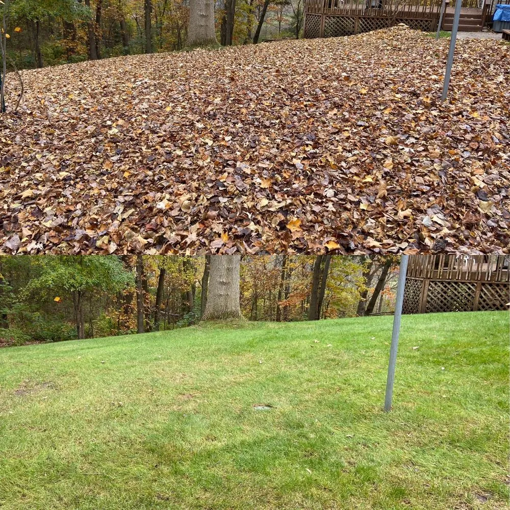 Custom landscape installation with custom design in Cottage Grove, MN by Nathan's Lawn Care