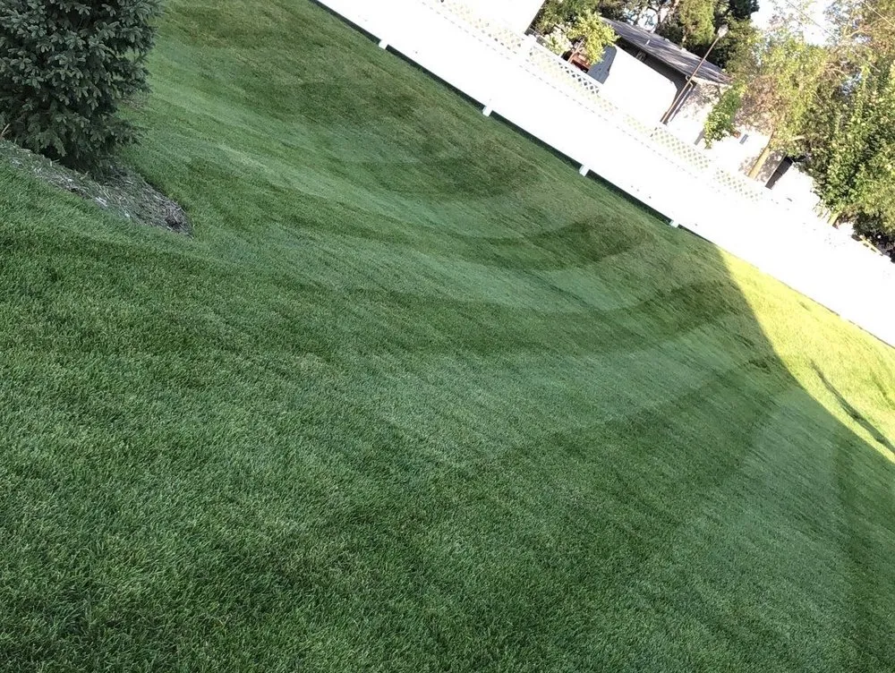 Expert lawn mowing service in Cottage Grove, MN - Nathan's Lawn Care