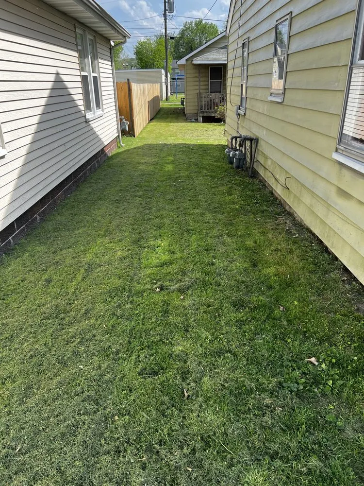 Affordable yard maintenance experts serving Nitro, WV - Nathan’s Lawn Care