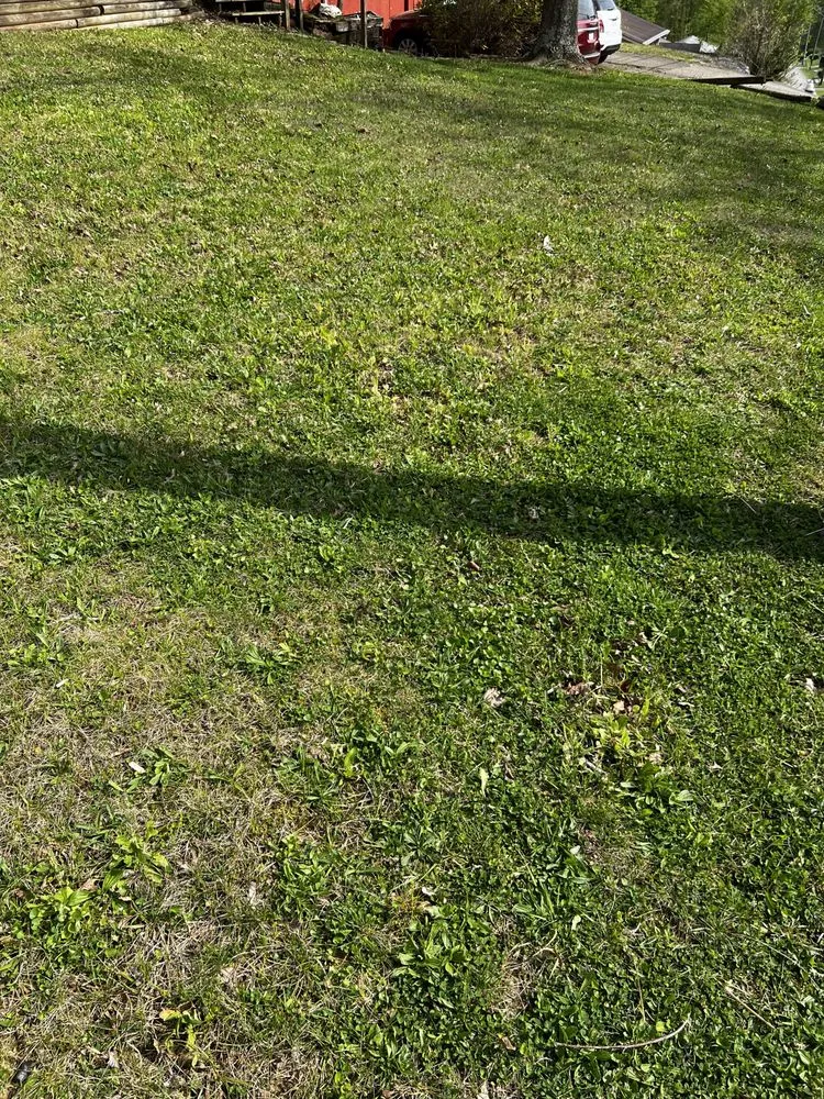 Affordable landscape design in Nitro, WV by Nathan’s Lawn Care